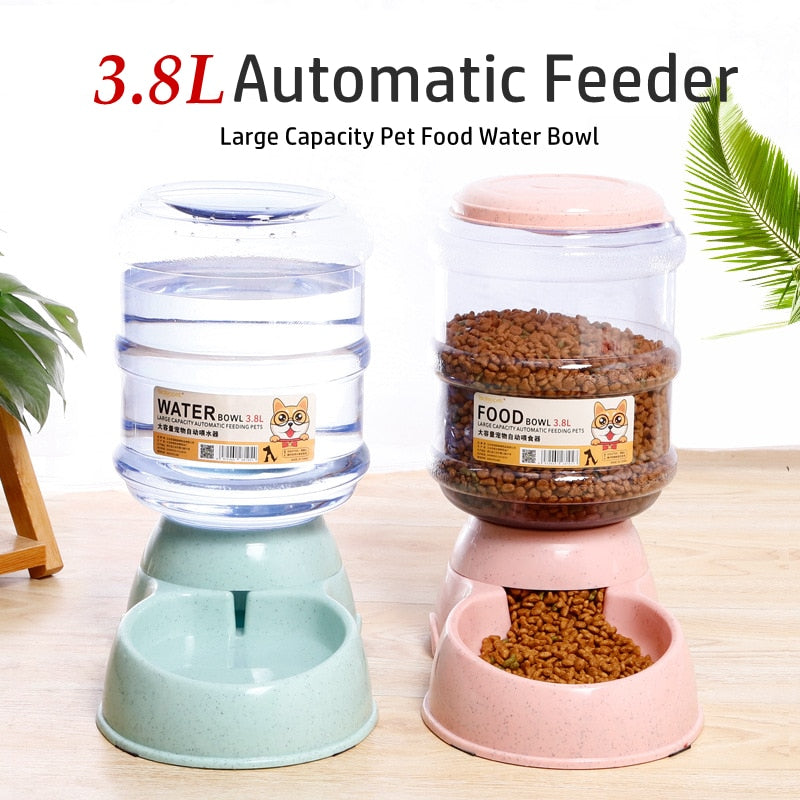 Pet Automatic Feeders