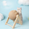 Cat Scratching Ball Toy