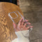 iPhone Transparent Soft Acrylic Case