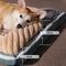 Dog Bed Padded Cushion Mat