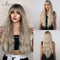 Brown Mixed Blonde Wigs & Bang