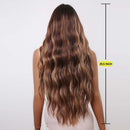 Long Curly Highlight Wig