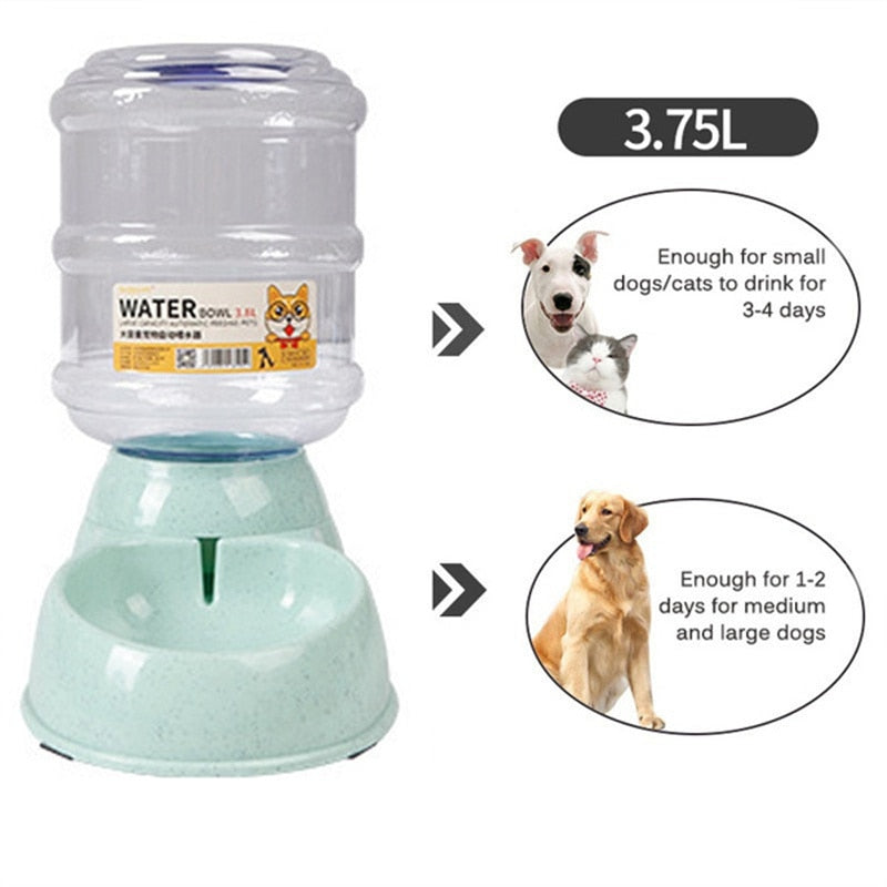 Pet Automatic Feeders