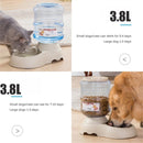 Pet Automatic Feeders